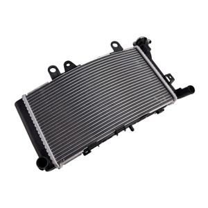2019-2024 BMW F750GS F850GS F850GS Adventure Radiator Cooler Silver Generic