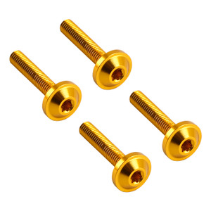 2015-2023 Touring Road Glide/Special FLTRX/S Windshield Fairing Bolts Gold Generic
