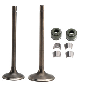 Intake Exhaust Valve Kit For LIFAN ZONGSHEN CG250 250cc Go Kart Dirt Bike ATV