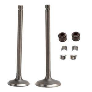 2003-2012 Honda FES Pantheon S-Wing Cylinder Head Inlet and Exhaust Valve Kit 14711KCW000 14721KCW000 Generic