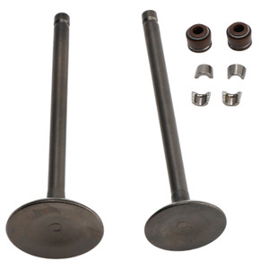 2002-2006 Honda SES Dylan 125 150 Cylinder Head Inlet and Exhaust Valve Kit 14711KCW000 14721KCW000 Generic
