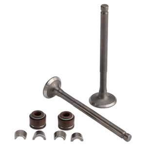 69mm Intake Exhaust Valve Kit For GY6 139QMB Moped 50cc 80cc Sunl Baja Taotao