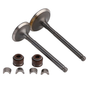 66mm Intake Exhaust Valve Kit For GY6 150cc Baotian Benzhou Rex Znen Lifan 125