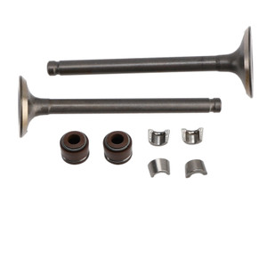 Head Intake Exhaust Valves Seals For Honda CT70 XR70 R CRF70 F TRX90 X EX