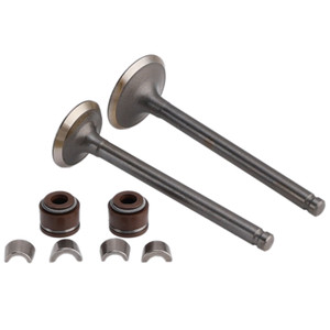 Head Intake Exhaust Valves Seals For Honda CT70 XR70 R CRF70 F TRX90 X EX