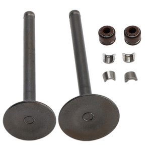 Head Intake Exhaust Valves Seals For Honda CT70 XR70 R CRF70 F TRX90 X EX