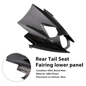 2020-2025 Triumph Street Triple 765R/ RS Rear Tail Seat Fairing lower panel Carbon Generic