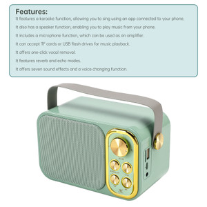 Mini Wireless Bluetooth Speaker 10W Power Home Theater Dual Microphone Speaker