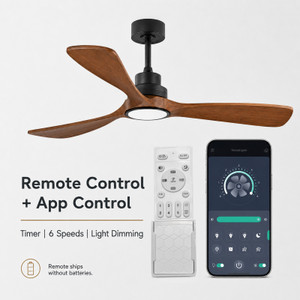 52" Smart Ceiling Fan with Light