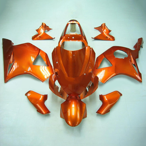 Injection Fairing Kit Bodywork Plastic ABS For Honda CBR954 2002-2003