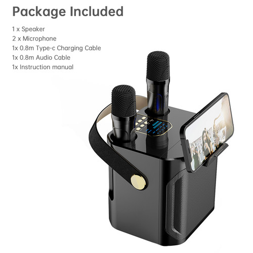 Wireless Bluetooth Speaker Black Dual Microphone Portable Karaoke Speaker Home Theater