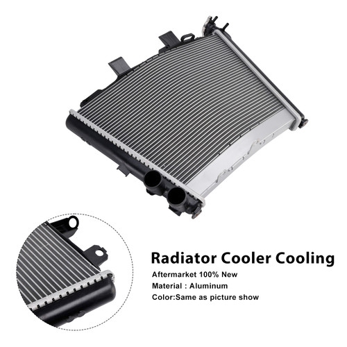2021-2025 BMW M1000R S1000R Radiator Cooler Cooling Silver Generic