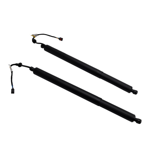 2019-2020 Hyundai Santa Fe 2.0L /2.4L 2* Rear Tailgate Lift Support 81831-S1100 Black Generic