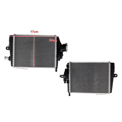 2024-2025 BMW R1300GS Radiator Cooler Cooling Silver Generic