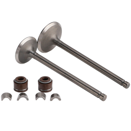 2003-2012 Honda FES Pantheon S-Wing Cylinder Head Inlet and Exhaust Valve Kit 14711KCW000 14721KCW000 Generic