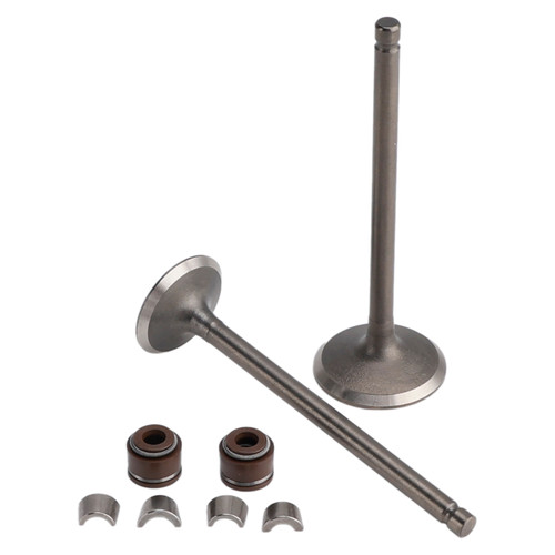 2003-2012 Honda FES Pantheon S-Wing Cylinder Head Inlet and Exhaust Valve Kit 14711KCW000 14721KCW000 Generic