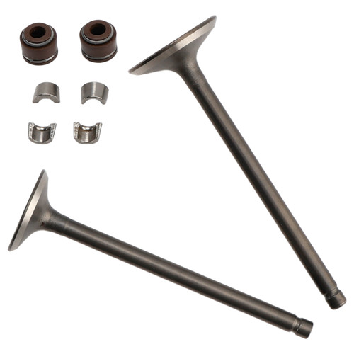 2003-2012 Honda FES Pantheon S-Wing Cylinder Head Inlet and Exhaust Valve Kit 14711KCW000 14721KCW000 Generic