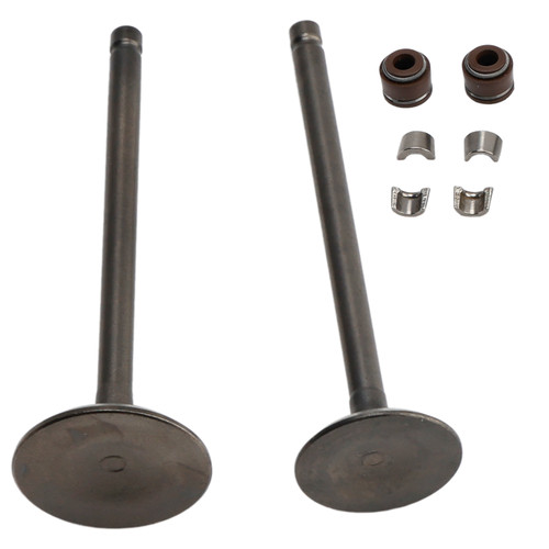 2001-2012 Honda SH 125 150 Cylinder Head Inlet and Exhaust Valve Kit 14711KCW000 14721KCW000 Generic