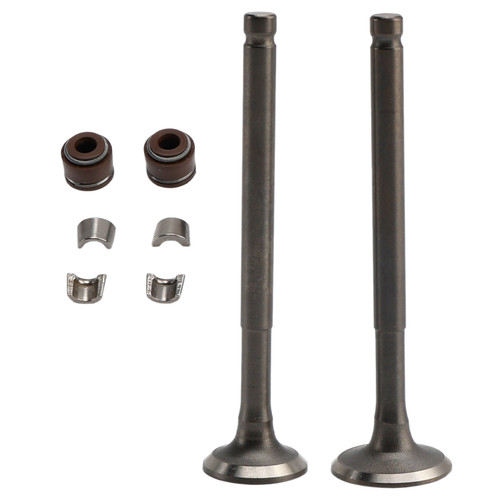 69mm Intake Exhaust Valve Kit For GY6 139QMB Moped 50cc 80cc Sunl Baja Taotao