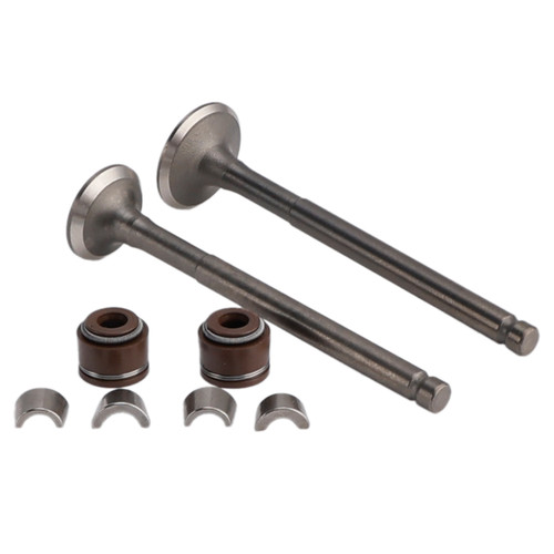69mm Intake Exhaust Valve Kit For GY6 139QMB Moped 50cc 80cc Sunl Baja Taotao