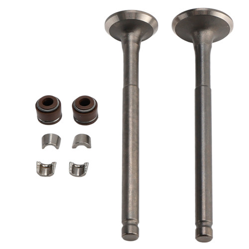 69mm Intake Exhaust Valve Kit For GY6 139QMB Moped 50cc 80cc Sunl Baja Taotao