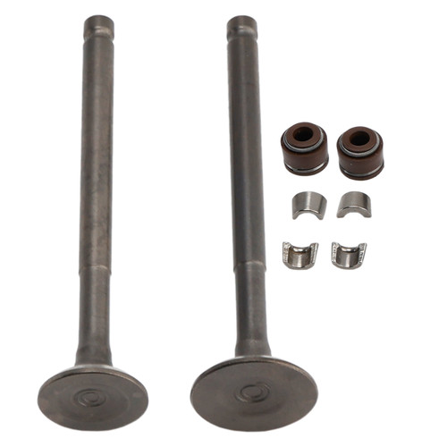 69mm Intake Exhaust Valve Kit For GY6 139QMB Moped 50cc 80cc Sunl Baja Taotao