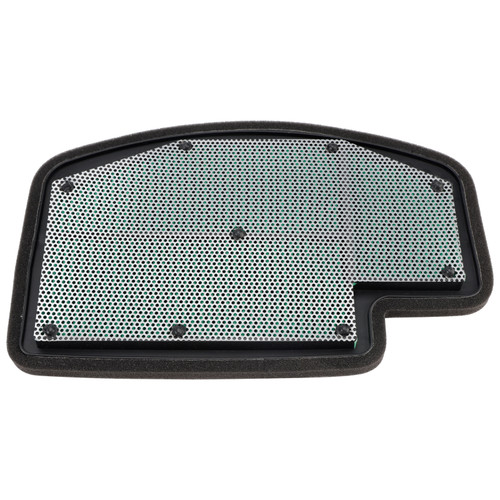 Air Filter For Speed Triple 1200 RR, Speed Triple 1200 RS Repl.# T2205748