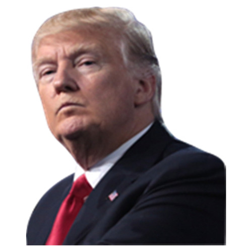 Car Window Sticker Life Person Size Passenger Ride With Trump President 2020 L E Car Window Sticker Life Person Size Passenger Ride With Trump President 2020 L E