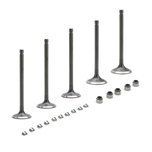 2001-2008 Yamaha Grizzly Raptor Rhino 660 660R Intake & Exhaust Valves Kit Generic 2001-2008 Yamaha Grizzly Raptor Rhino 660 660R Intake & Exhaust Valves Kit Generic