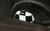 Tachometer Panel Cover MINI COOPER R55 R56 R57 R58 R59 R60 R61 Checkered Black White Tachometer Panel Cover MINI COOPER R55 R56 R57 R58 R59 R60 R61 Checkered Black White