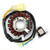 Stator Coil 18 Poles For Honda TRX300EX Sportrax 300 EX 1993-2008 TRX300X 2009