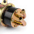Intank Fuel Pump For FZS1000 FZ1 01-05 YZF1000R Thunderace 96-01Yamaha YZF-R1 R1 98-01 YZF-R6 R6 99-02 VMAX12 V-MAX 90-99 VMX12 V-MAX 85-07 Gold Intank Fuel Pump For FZS1000 FZ1 01-05 YZF1000R Thunderace 96-01Yamaha YZF-R1 R1 98-01 YZF-R6 R6 99-02 VMAX12 V-MAX 90-99 VMX12 V-MAX 85-07 Gold