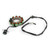 Magneto Stator Coil For Honda TRX400 Sportrax 400 EX 02-08 400 X 2009 TRX400 TRX 400 EX 99-01/2004/06-08 TRX400 TRX 400 X 09-14 Magneto Stator Coil For Honda TRX400 Sportrax 400 EX 02-08 400 X 2009 TRX400 TRX 400 EX 99-01/2004/06-08 TRX400 TRX 400 X 09-14