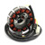 Alternator Magneto Stator for Yamaha WR450F 2003-2006 5TJ-81410-30-00 5TJ-81410-31-00