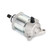 Starter for Yamaha WR450F 07-15 WR450FW 07 WR450FX 08 WR450FY 09 WR450FZ 10 WR450FE 14 5TJ-81890-30 Starter for Yamaha WR450F 07-15 WR450FW 07 WR450FX 08 WR450FY 09 WR450FZ 10 WR450FE 14 5TJ-81890-30