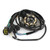 Magneto Generator Engine Stator For Honda CR250 CR250R 1999