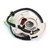 Magneto Generator Engine Stator Rotor Coil For Yamaha YFS200 Blaster 2003-2007