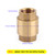DN15 1/2" NPT In-Line Check Valve Brass Spring Loaded Inline 200PSI