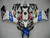 Fairings Honda CBR 1000 RR Multi-Color Eurobet Racing (2004-2005)