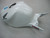 Fairings Honda CBR 1000 RR White Konica Minolta Racing (2006-2007)