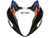 Fairings Suzuki GSX1300 Hayabusa Multi-Color Viru Beer Racing  (1999-2007) Fairings Suzuki GSX1300 Hayabusa Multi-Color Viru Beer Racing  (1999-2007)