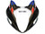 Fairings Suzuki GSX1300 Hayabusa Multi-Color Viru Beer Racing  (1999-2007)