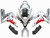 2003-2004 Kawasaki ZX6R 636 Amotopart Fairings Silver & Red Flame Ninja Racing 2003-2004 Kawasaki ZX6R 636 Amotopart Fairings Silver & Red Flame Ninja Racing