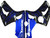 2003-2004 Kawasaki ZX6R 636 Amotopart Fairings Black & Blue Flame Ninja Racing 2003-2004 Kawasaki ZX6R 636 Amotopart Fairings Black & Blue Flame Ninja Racing