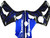 2003-2004 Kawasaki ZX6R 636 Amotopart Fairings Black & Blue Flame Ninja Racing