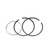 Piston Ring Pin Clip Kit 40.75Mm +0.75 For Can-Am Mini Ds Quest 50 2002-2006