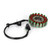 Stator Assy Fit for Kawasaki Ninja 400 EX400 / Z 400 ER400 2018-2020 21003-0178