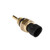 Water Temperature Sensor 3865312 For Cummins L10 M11 ISM N14 Water Temperature Sensor 3865312 For Cummins L10 M11 ISM N14