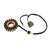 Generator Stator Magneto For TM Racing EN250 MX250 EN300 MX300 4T 2012-2020