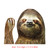 Car Window Sticker Person Size Passenger Side Left Sloth Waving Funny Universal